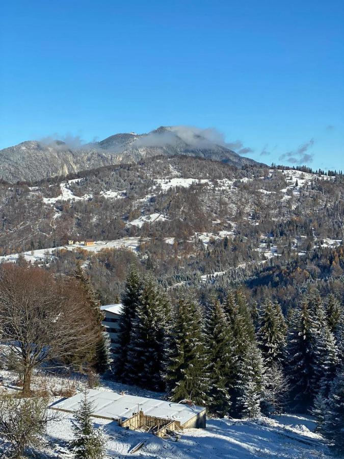 Genco Mountain View Hotel Predeal